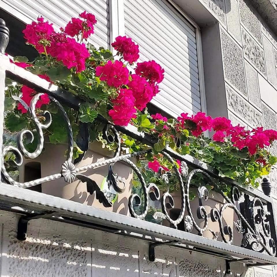 Hills Apartments Вършац Екстериор снимка